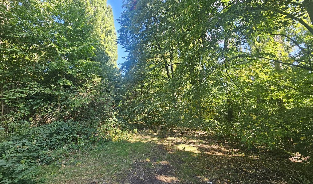 Prodej stavebního pozemku 5 391 m², Ústí nad Labem – náhled fotky 5