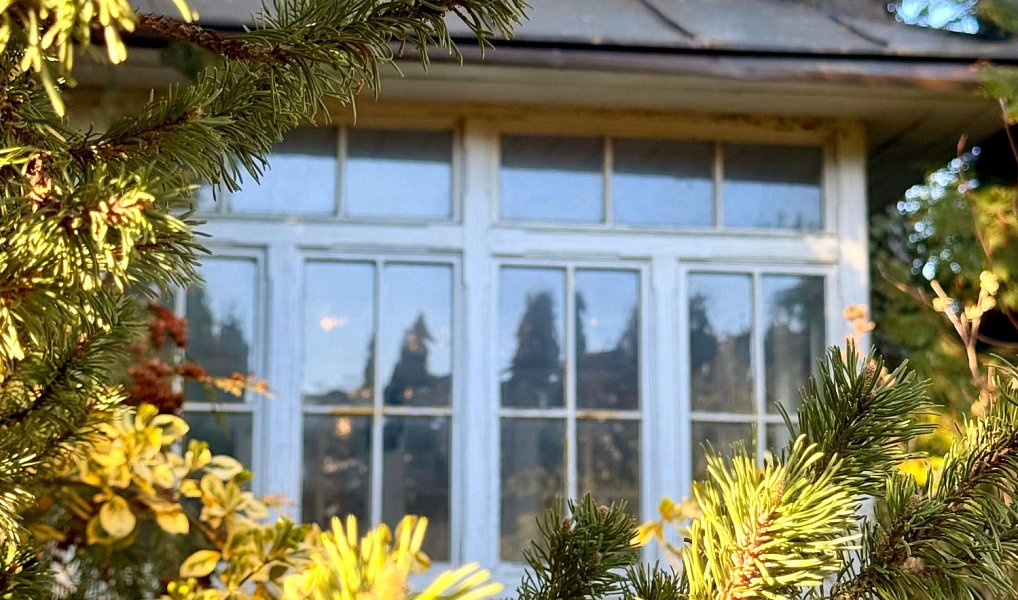 Pronájem domu 450 m² s pozemkem 1 452 m², Domažlice – náhled fotky 48