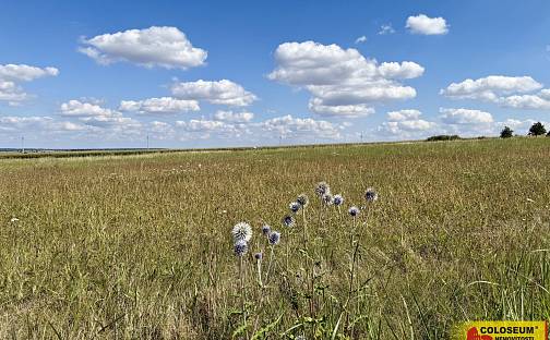 Prodej komerčního pozemku 8 168 m², Znojmo - Mramotice
