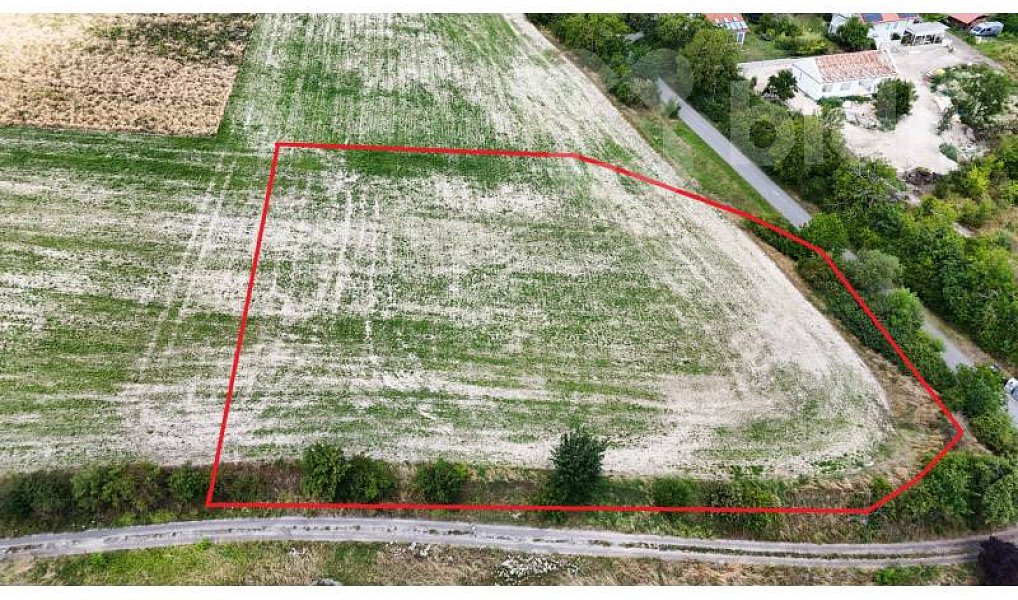 Prodej stavebního pozemku 4 773 m², Skorkov – náhled fotky 3