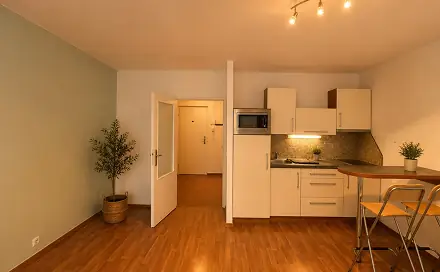 Prodej bytu 1+kk 31 m², Blatnická, Brno - Židenice