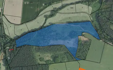 Prodej lesa 3 200 m², Mirovice, okres Písek