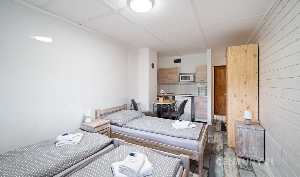 Prodej ubytovacího objektu 350 m², Bítov – náhled fotky 9