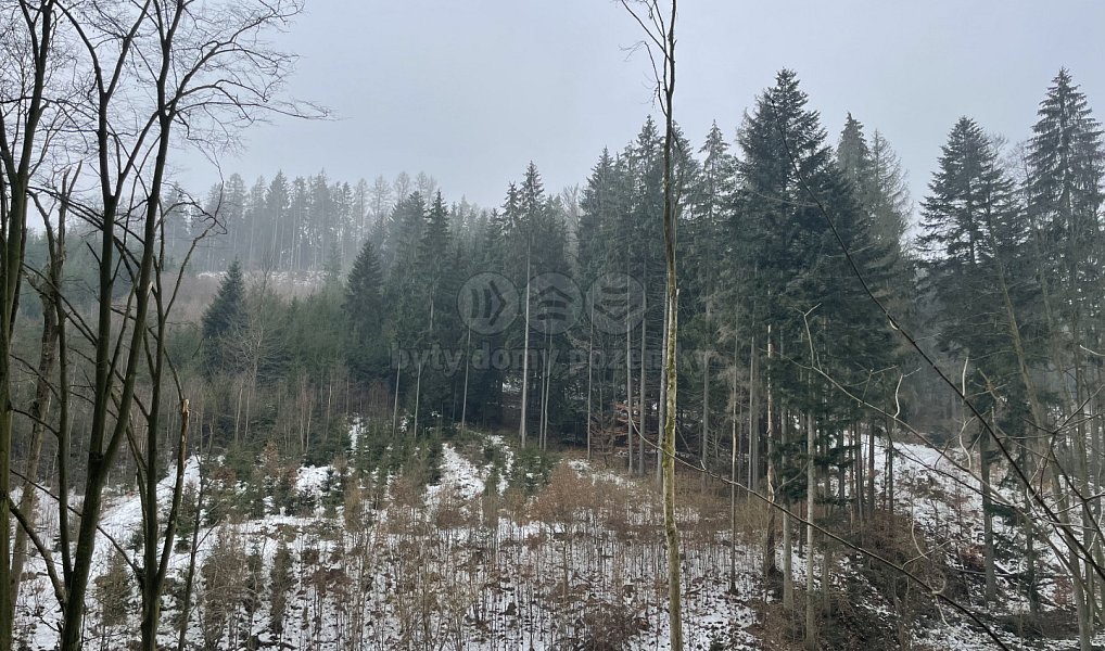 Prodej lesa 12 219 m², Záhoří – náhled fotky 2