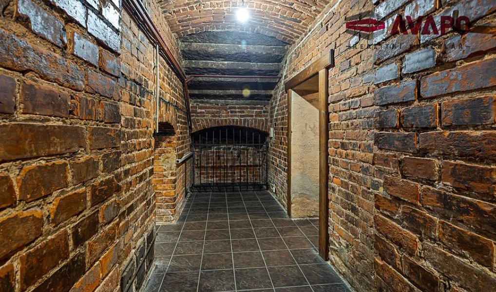 Prodej obchodních prostor 166 m², Opava – náhled fotky 11