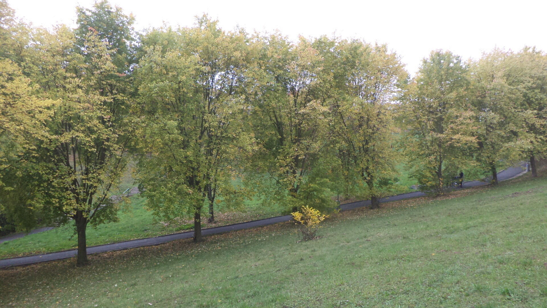 Prodej pozemku 1 044 m²