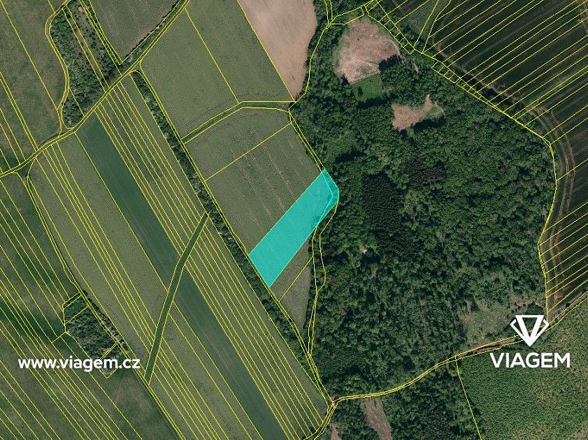 Prodej pole 4 854 m² – fotografie 3