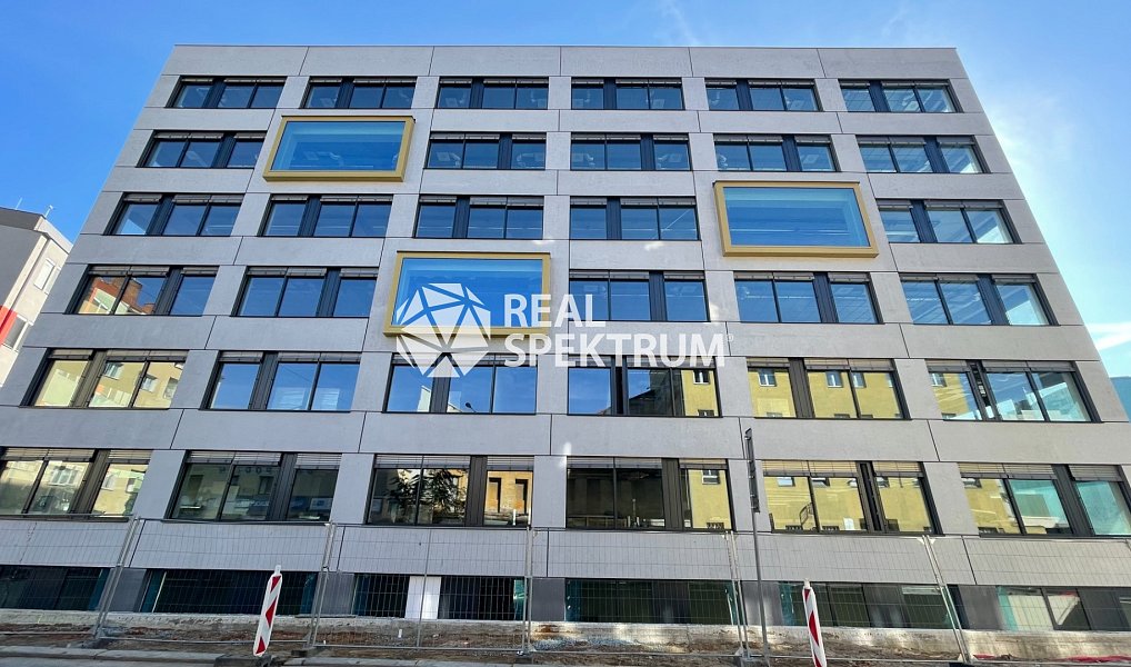 Pronájem kanceláře 670 m², Brno – náhled fotky 7