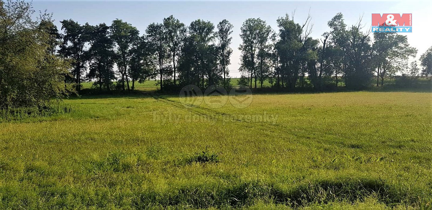 Pronájem zahrady 9 756 m² – fotografie 4