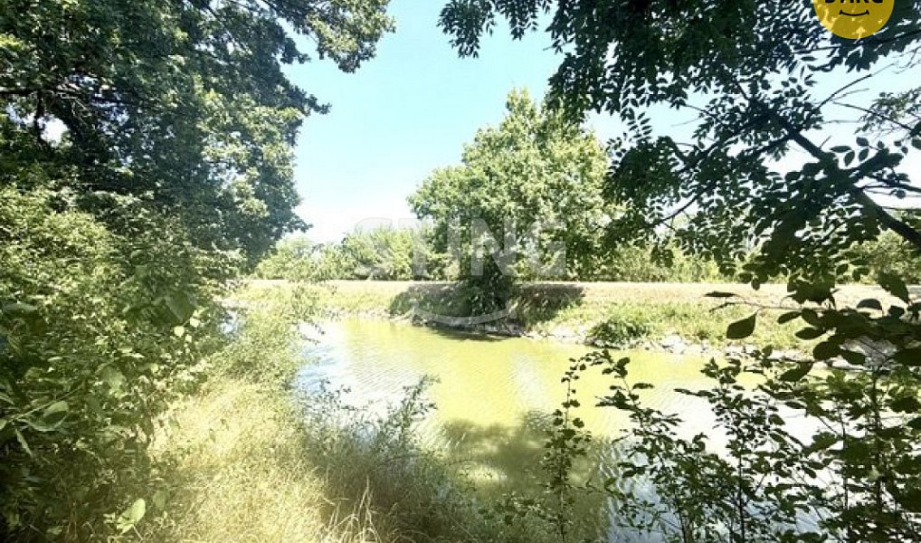 Prodej zahrady 4 652 m², Strážnice – náhled fotky 8