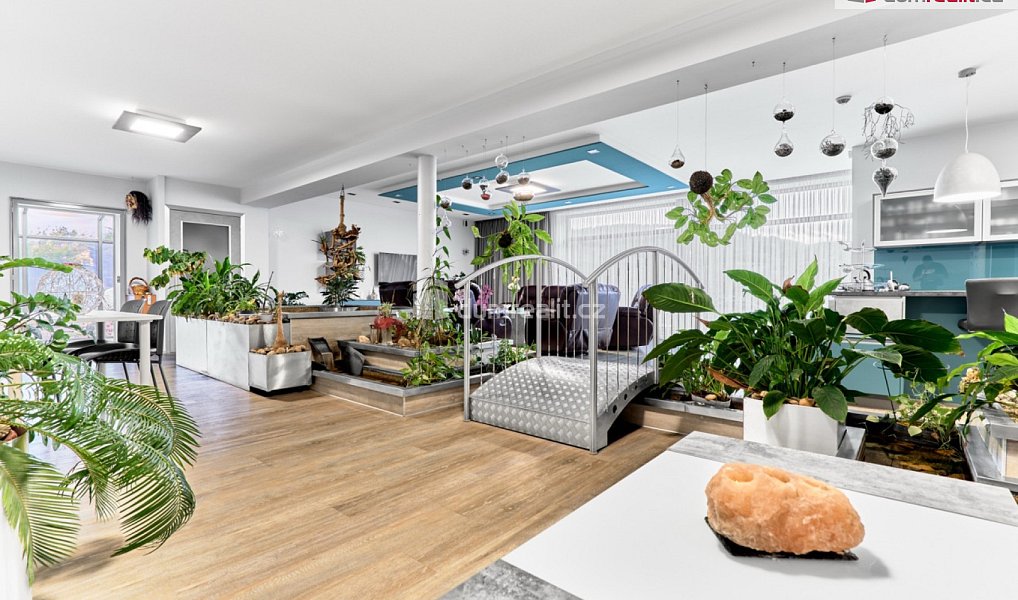 Prodej domu 296 m² s pozemkem 3 134 m², Děčín – náhled fotky 32