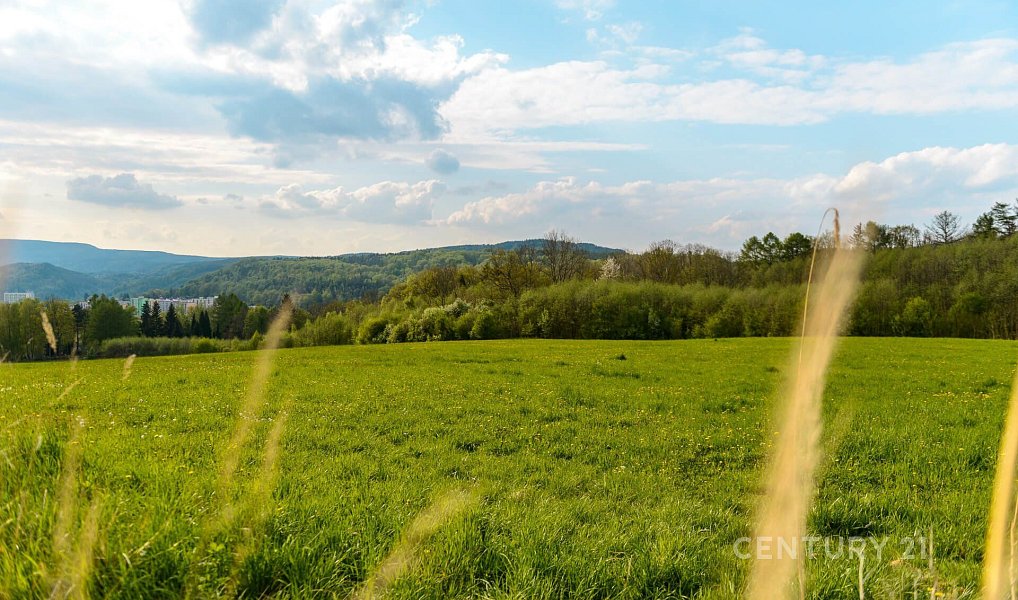 Prodej stavebního pozemku 729 m², Děčín – náhled fotky 11