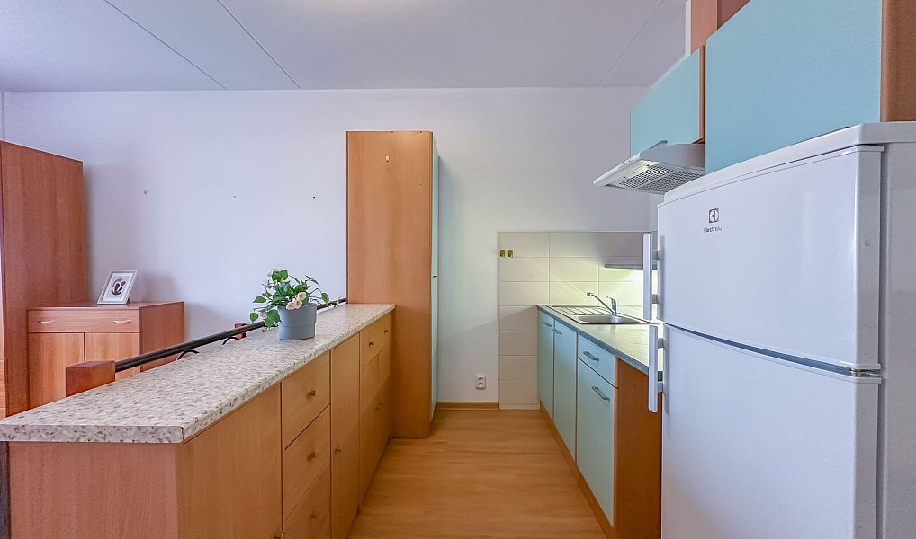 Pronájem bytu 1+kk 27 m², Horní Bříza – fotka 1 z 8