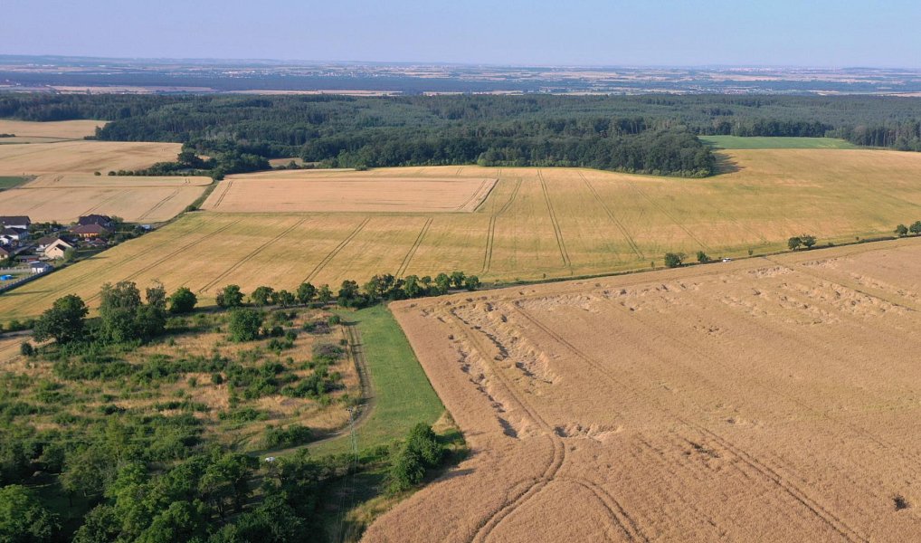 Prodej stavebního pozemku 4 605 m², Horní Slivno – náhled fotky 3