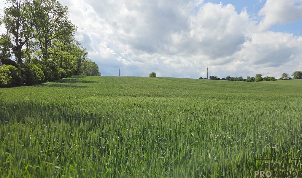 Prodej pole 2 649 m², Kyjov – náhled fotky 6