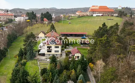 Prodej domu 270 m² s pozemkem 4 446 m², Zámecká, Dolní Kounice, okres Brno-venkov