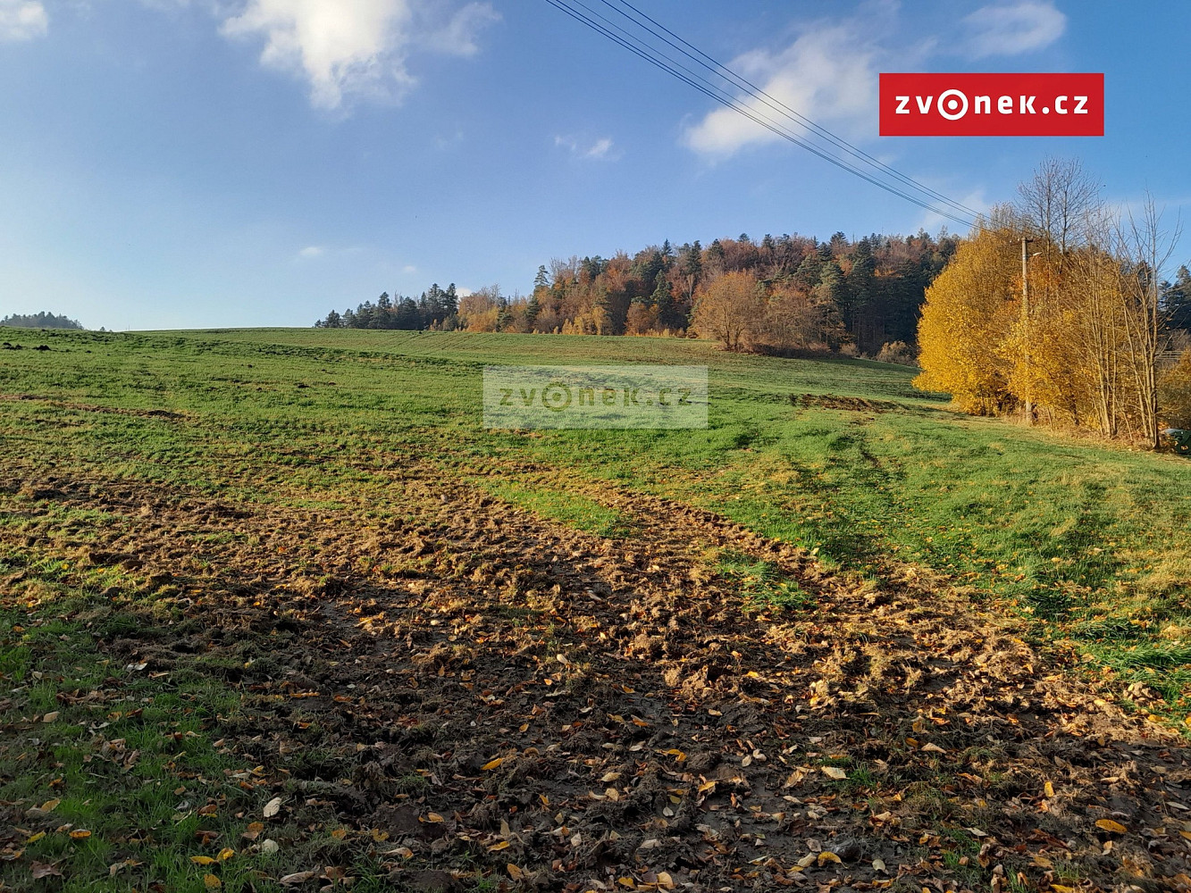 Prodej louky 20 000 m² – fotografie 3