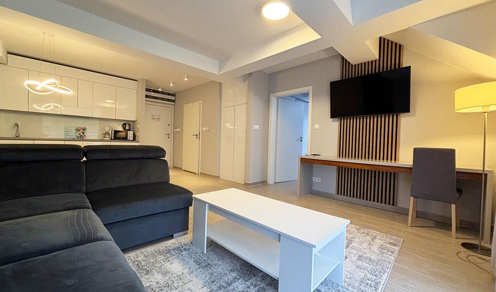Prodej bytu 2+kk 51 m², Dolní Morava – náhled fotky 3