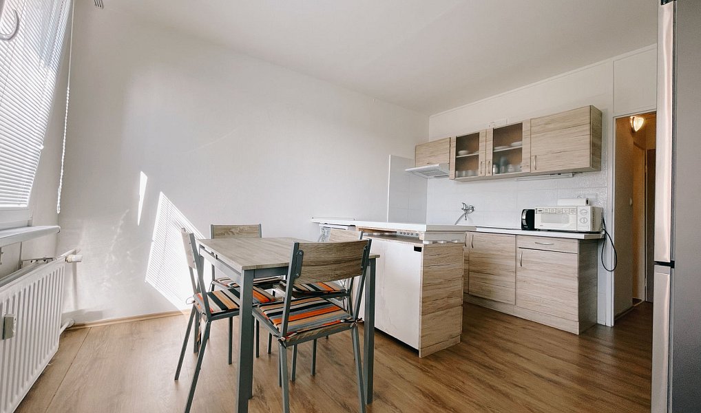 Pronájem bytu 1+1 40 m², Písek – náhled fotky 3