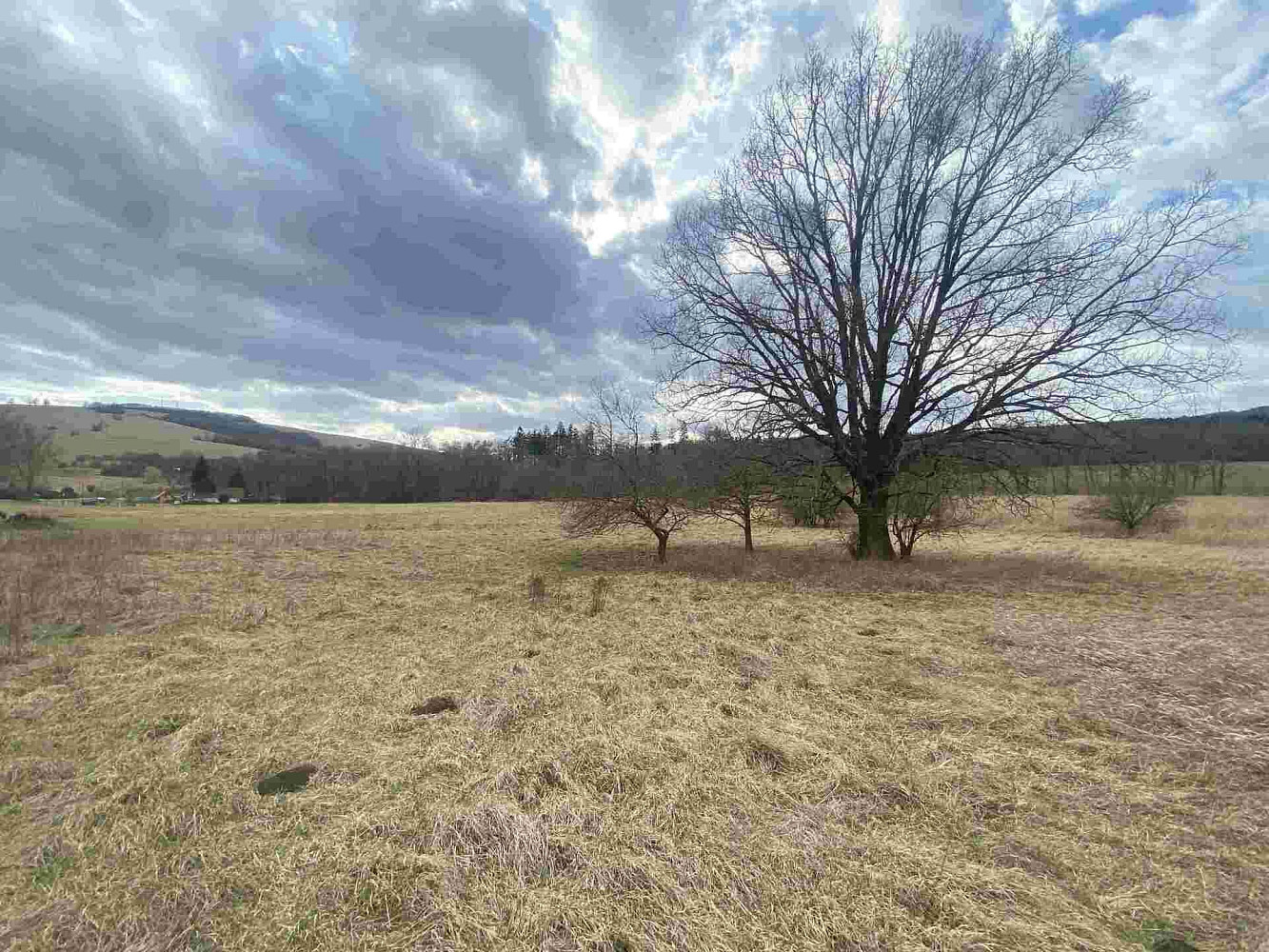 Prodej pole 664 m² – fotografie 5