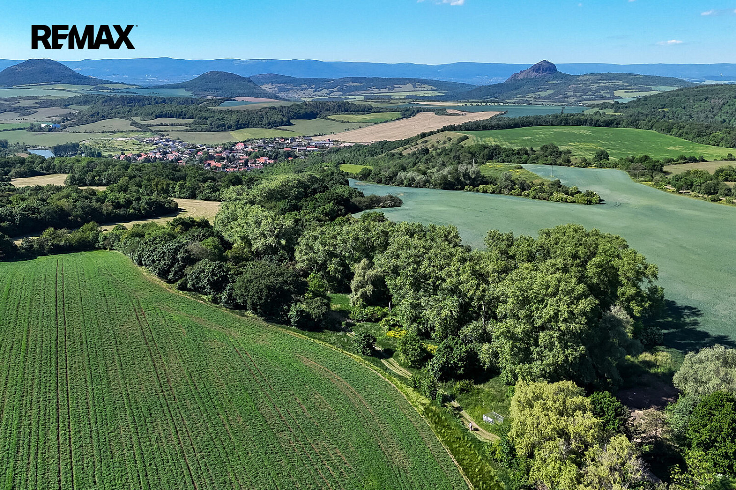 Prodej lesa 5 841 m² – fotografie 3