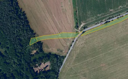 Prodej louky 5 877 m², Proseč, okres Chrudim