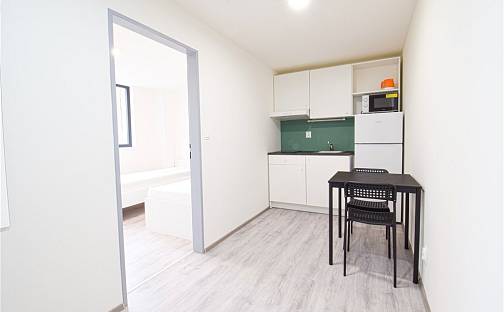 Pronájem bytu 2+1 32 m², Hybešova, Brno - Staré Brno