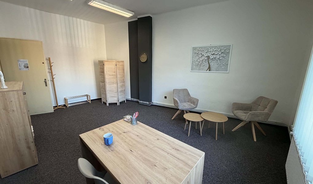 Pronájem kanceláře 27 m², Ostrava – náhled fotky 10