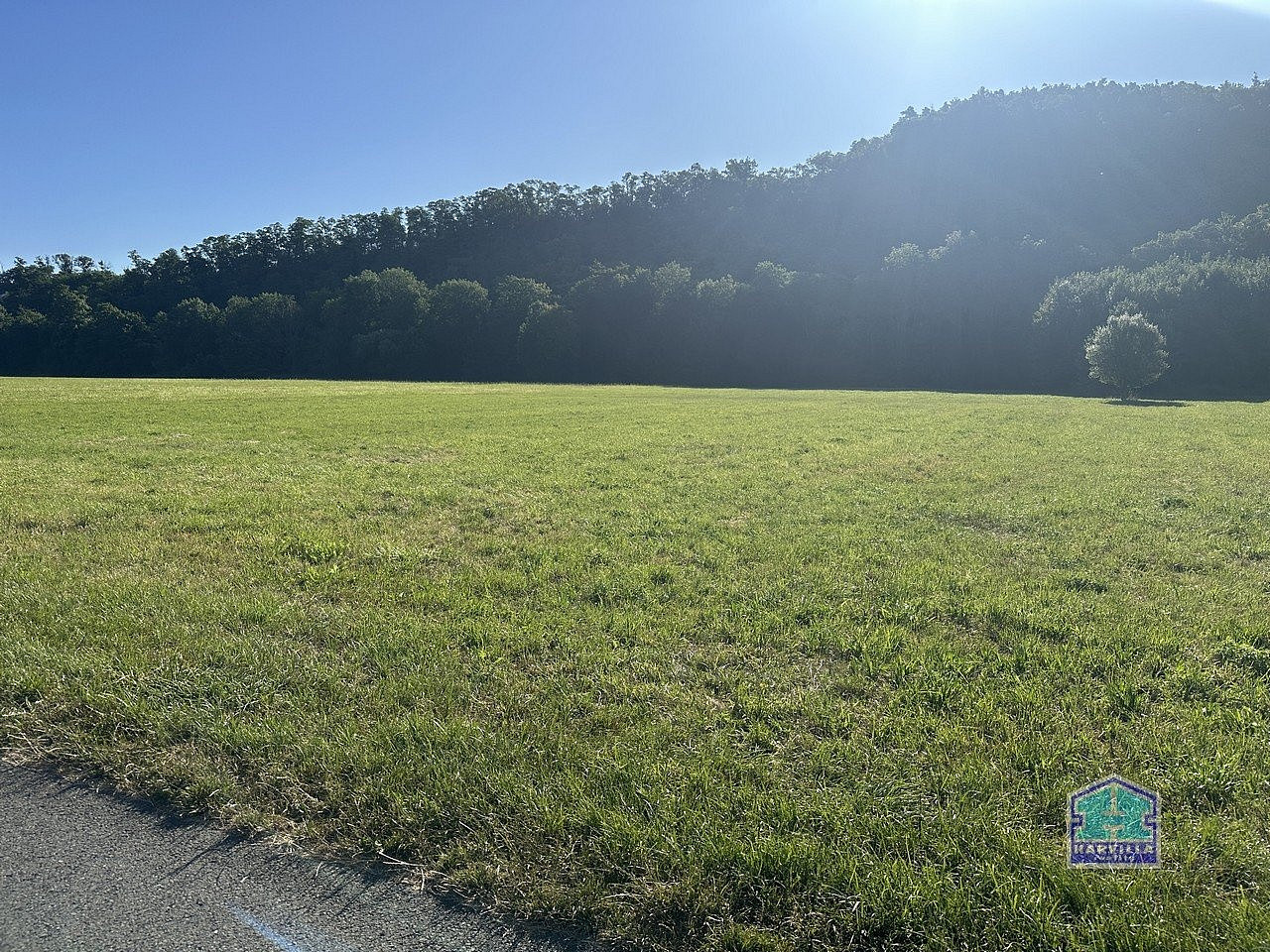 Prodej louky 2 000 m² - Widok 2