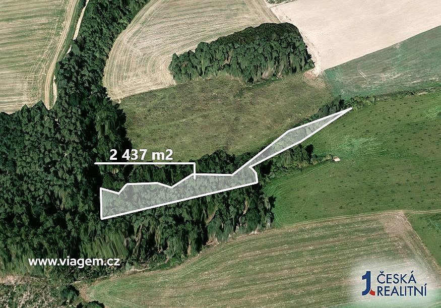 Prodej lesa 2 437 m² – fotografie 2