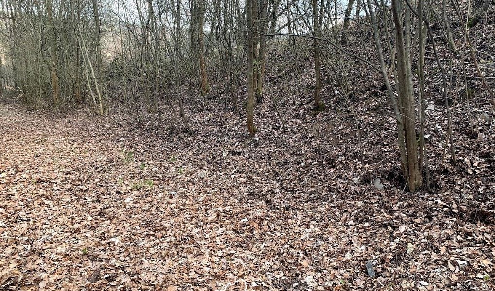 Prodej pozemku 1 151 m², Vonoklasy – náhled fotky 2