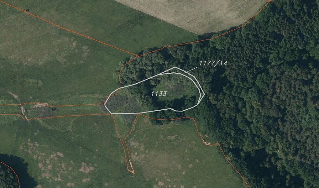 Prodej louky 4 246 m², Nové Hrady – náhled fotky 6