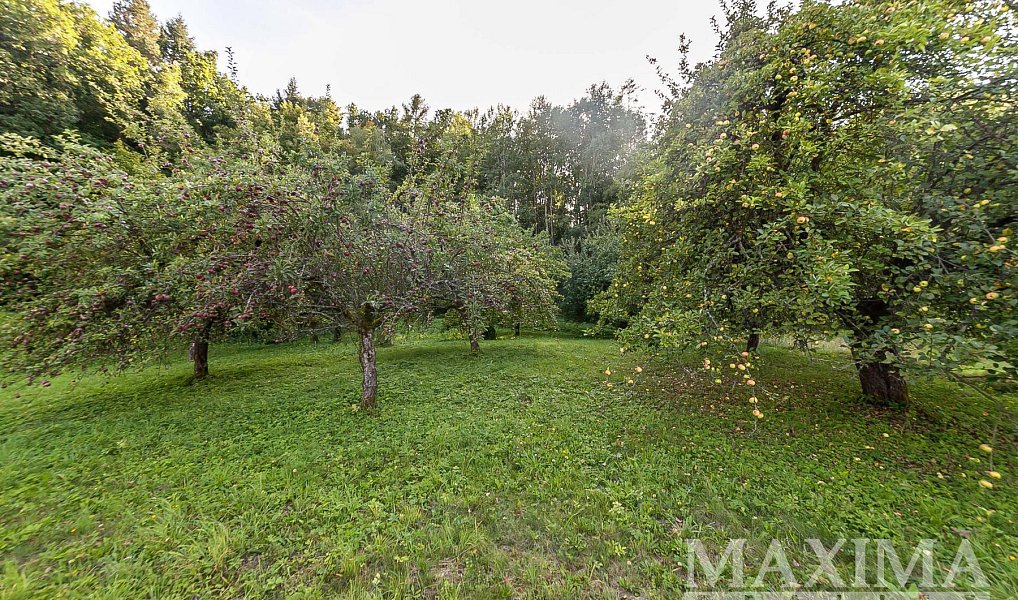 Prodej stavebního pozemku 3 738 m², Hrubá Skála – náhled fotky 10