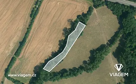 Prodej lesa 1 141 m², Sobotka, okres Jičín