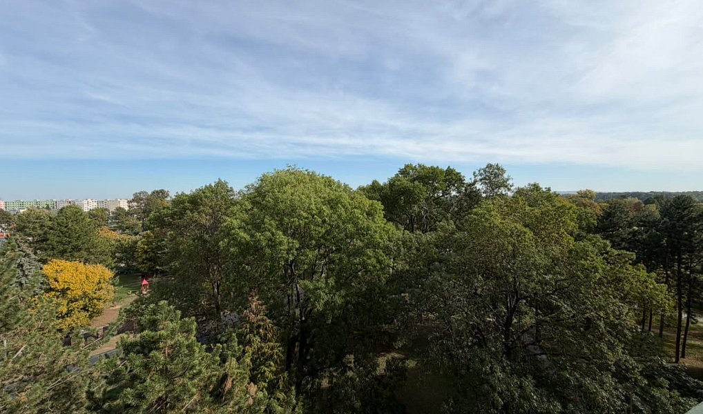 Prodej bytu 1+1 40 m², Hodonín – náhled fotky 9