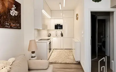 Prodej bytu 2+kk 43 m², Kounicova, Brno - Veveří