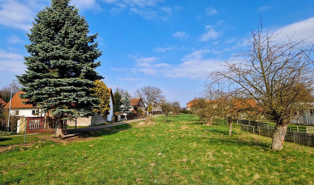 Prodej stavebního pozemku 2 176 m², Dětenice – náhled fotky 7