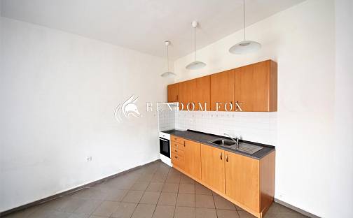 Pronájem bytu 1+1 60 m², Horní náměstí, Znojmo