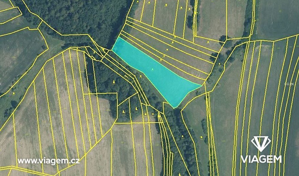 Prodej pole 5 577 m², Němětice – náhled fotky 3