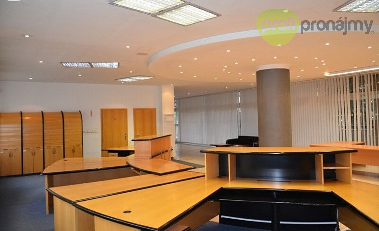 Pronájem obchodního prostoru 175 m² – pohled 4
