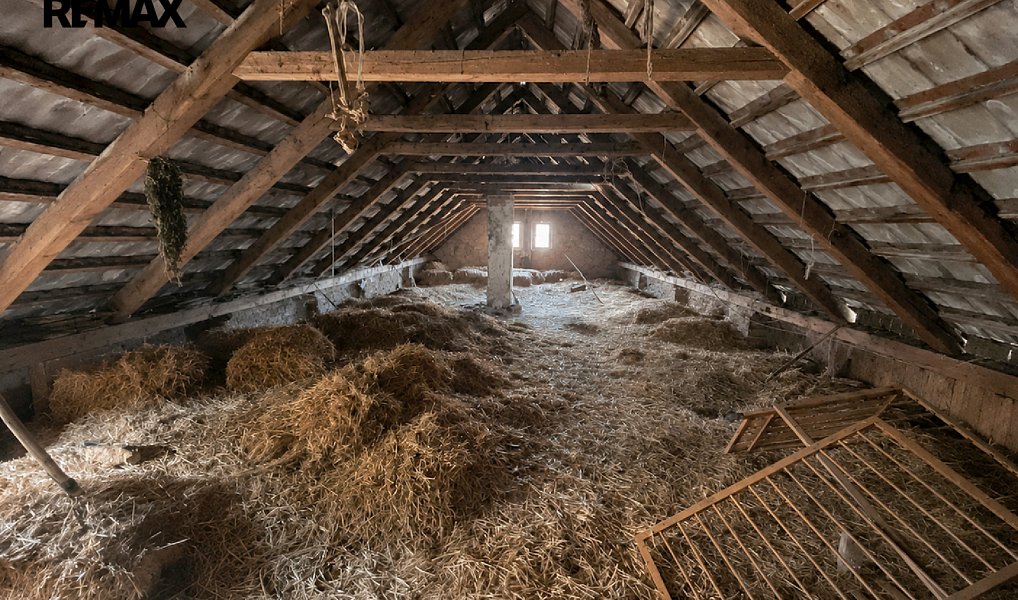 Prodej domu 120 m² s pozemkem 1 324 m², Loučeň – náhled fotky 37