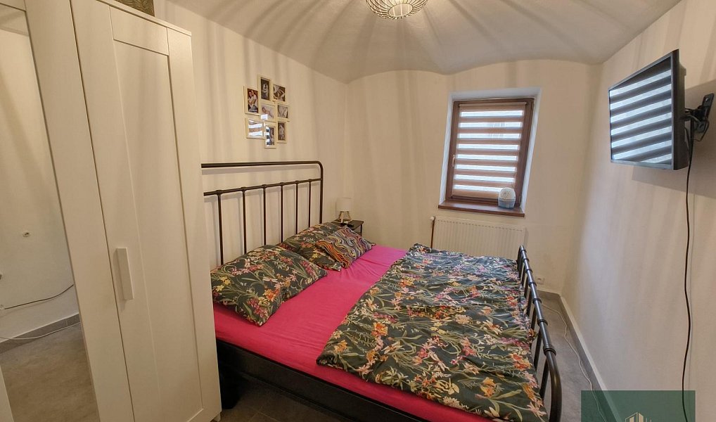Pronájem domu 200 m² s pozemkem 1 301 m², Bor – náhled fotky 12