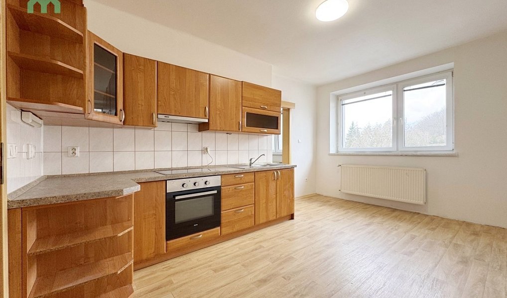 Pronájem bytu 2+1 60 m², Potštát – náhled fotky 6