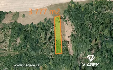 Prodej lesa 3 777 m², Hradec nad Moravicí, okres Opava