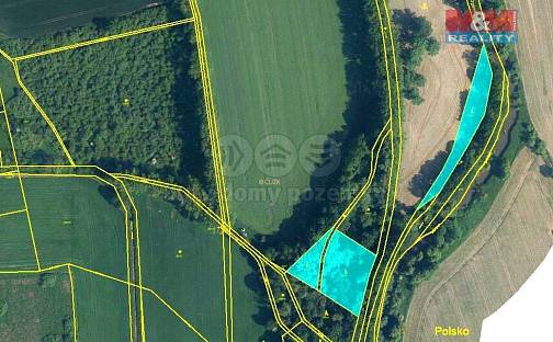 Prodej lesa 6 063 m², Úvalno, okres Bruntál