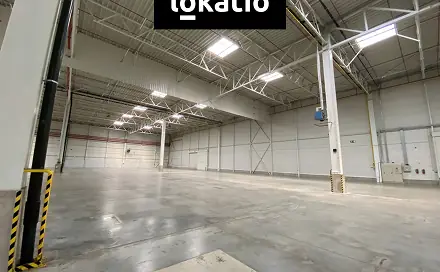 Ostatní