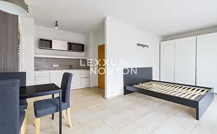 Pronájem bytu 1+kk 37 m², Mlýnská, Praha 6 - Bubeneč