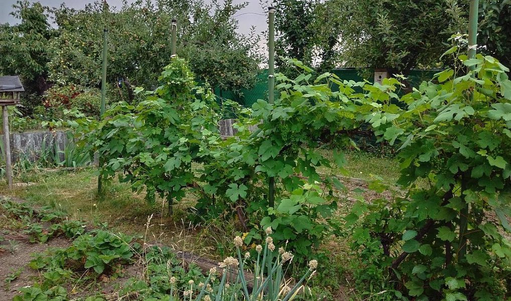 Prodej domu 20 m² s pozemkem 180 m², Kladno – náhled fotky 2