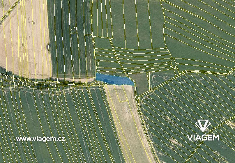 Prodej pole 1 123 m² – fotografie 3
