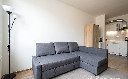 Pronájem bytu 1+kk 25 m², Hnězdenská, Praha 8 - Troja